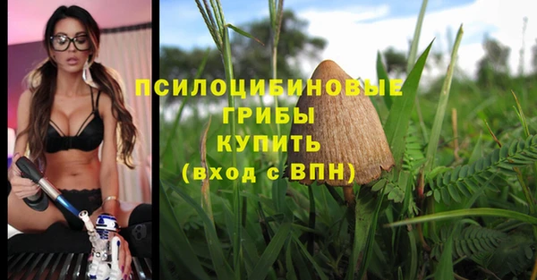 2c-b Балабаново