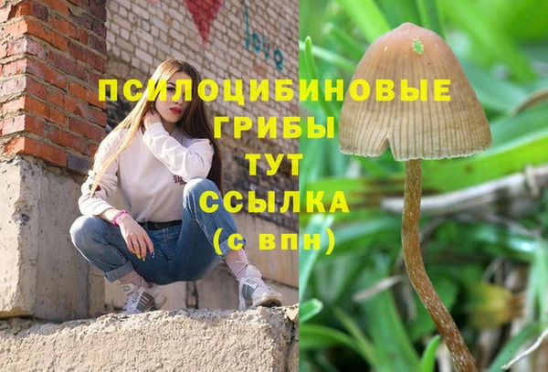 2c-b Балабаново